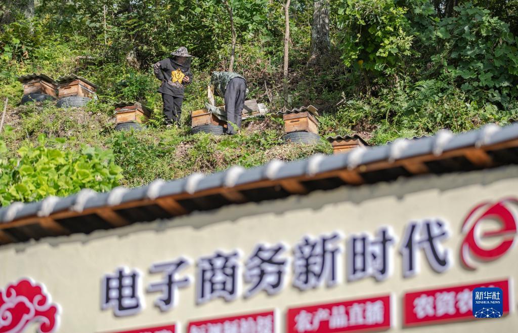 阿拉德之怒mg官网